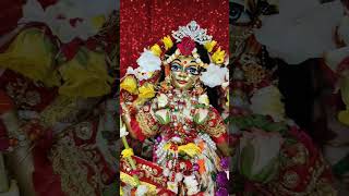 Daily Wonderful Radha Madhava Darshan #isckon #wonderful #radhakrishna #darshan #Radha_Madhav