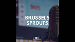 History makers: Giles and Niki Fuchs on the Brussels Sprouts Podcast | Office Space in Town