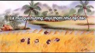 Tình Ca Trên Lúa - Tuấn Vũ & Sơn Tuyền