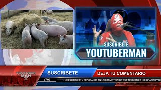 G4 EA H1N1 🐷 🆅🅸🆁🆄🆂 🅳🅴 🅻🅾🆂 🅲🅴🆁🅳🅾🆂 🐷 NUEVA PANDEMIA PODRÍA SER SI NO SE MONITOREA OTRA GRIPE MAS 😷🤒🌡️