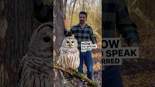 How to Speak Barred Owl 🦉 #owls #natureeducation #naturalist #birdcalls