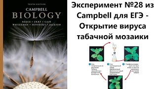 Эксперимент №28 из Campbell для ЕГЭ - Открытие вируса табачной мозаики (ВТМ)