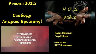 Свободу Андрею Брезгину! Звонок 2022 06 09