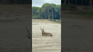 DOÑANA Y DESEMBOCADURA DEL GUADALQUIVIR - 12/09/24