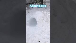 I built amazing igloo  #amazing #igloo