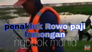 Sang penantang rawa paji lamongan||ngobokers