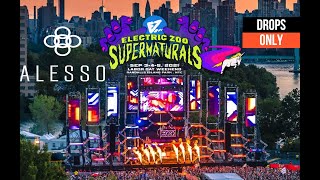 ALESSO ELECTRIC ZOO 2021 - DROPS ONLY