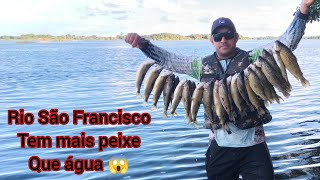 Pescaria Rio São Francisco, isca pegadeira, um peixe atrás do outro 😱 #pescaria #pesca #peixes