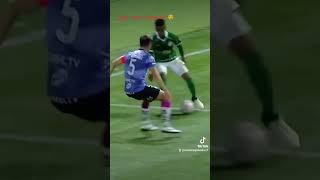 Que isso Estevão 💎😏 caneta, rolinho, quase gol, merecia entrar. Palmeiras x independiente Del Valle