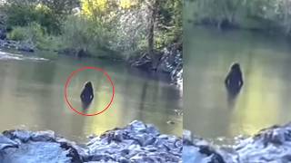 Most UNSETTLING Trail Cam Footage Caught on Camera Vol.6