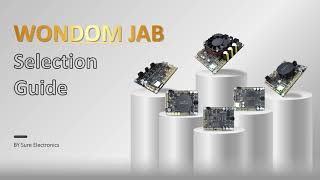 How to select suitable WONDOM Bluetooth & DSP JAB Products for your audio systems