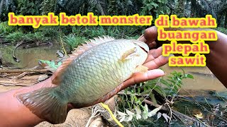 MANCING BETOK MONSTER DI RAWA YANG BANYAK PLEPAH SAWITNYA