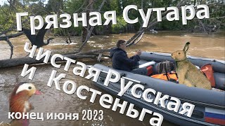 Грязная Сутара, чистая Русская и Костеньга конец июня 2023