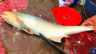 Fish Market Fish Cutting, Expert Fishmonger Rawas Fish Cutting Skills With Knife At Fish Market