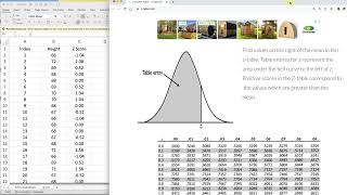 Survey Math Excel - Find Z score - Probability