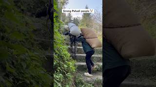 Strong pahadi people #pahadi #mehnat #hardwork #pahadilifestyle #tranding #ytshorts #dailyvlogging