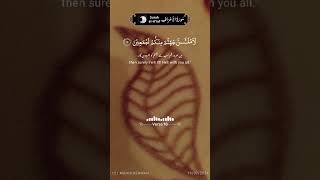 Surah Al A'raf #quranismylife #youtubeshorts #unfrezzmyaccount #quranicvoice