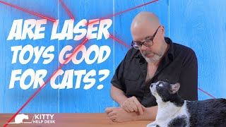 Are Lasers Good Cat Toys?