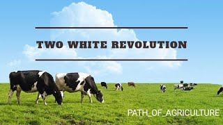 Two White Revolution | Dr.Verghese Kurien | Tribhuvandas Patel | Chandrakant Patel | Shwet Kranti |