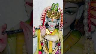 Phoolon Mein Saj Rahe Hain-2 | Shri Vrindavan Bihari | Radha Krishna | Jaipur #shorts #shortfeed