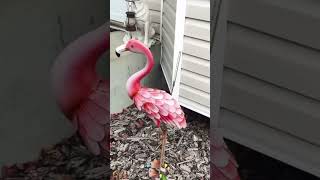 Great Statues of swans and a dog and her puppies at front of a house