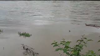 Rio Cachoeira ameaça o sul da Bahia com nova cheia