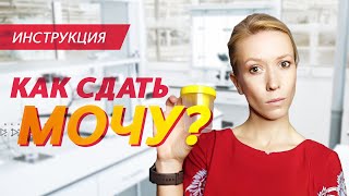 Как сдать анализ мочи? | Пошаговая инструкция с объяснениями