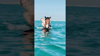 Swimming with horse #horse #horseridingschool #horseriding #horseing