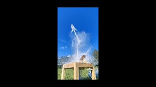 Water (Bottle) Rocket - 1. production batch