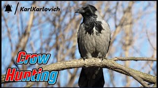 Кроухантинг - Охота На Врановых | Air Rifle Hunting - Hunting For Vranovs