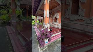 Malini Homestay Ubud Bali