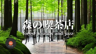 Ambient sounds + JAZZ Gentle Forest sounds Relaxing work/study CAFE MUSIC - BGM for work☕