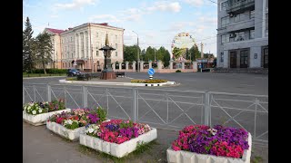 "ХОРОШЕЕ НАСТРОЕНИЕ"... (Фото Александра СОСНИНА (Архангельск), музыка Сергея ЧЕКАЛИНА)