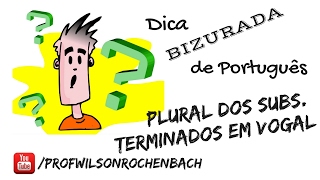 Dica Bizurada 11 (Plural dos Substantivos Terminados em Vogal)