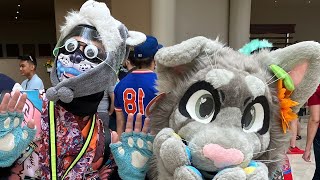 Why Furrydelphia 2022 Succeeded