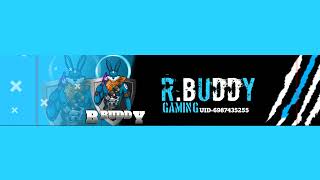 R buddy Live Stream