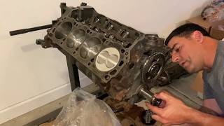 Foxbody 331 Stroker Engine Build pt. 3 - Project SOCIAL D pt. 10