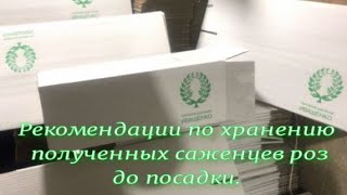 Рекомендации по хранению полученных саженцев роз до посадки. Питомник растений  Е. Иващенко