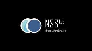 Прямая трансляция пользователя NSS Lab ITMO