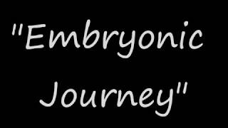 Embryonic Journey - Berchtold and Stear