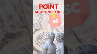 POINT D’ACUPUNCTURE - 5C /Tong Li #acupuncture #acupuncturepoints #medecinechinoise