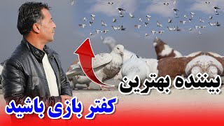 بیننده بهترین کفتر بازی باشید /AFGHANSHAWQI050