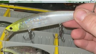 Shimano World Minnow 115 sp Flash Boost Lure Review