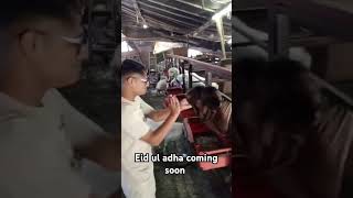 Eid ul adha coming soon  aap sab ko Mubarak #viralreels #eid #eiduladha #eidmubarak #viralreels #yt