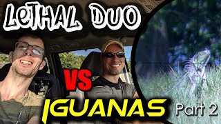 Lethal Duo vs Iguanas. Part2 | Pest Control | Orion the Iguana Hunter