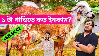 একটা গাভী থেকে কত টাকা ইনকাম করা সম্ভব?. dairy farming income in West Bengal.