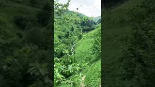 Beautiful nature and beautiful Quran recitation