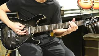 Steve Morse Signature Guitar Demo