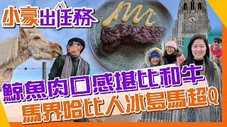 【小豪出任務】冰島遊最終章 鯨魚肉有吃又好像沒吃?柯林頓推的熱狗據說世上最好吃@來去CHECKIN