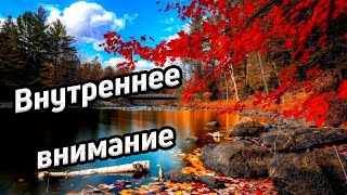 Как внимание влияет на жизнь/ Что мешает управлять вниманием